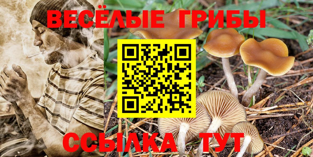 Псилоцибиновые грибы GOLDEN TEACHER  Вход с VPN  Дубна 